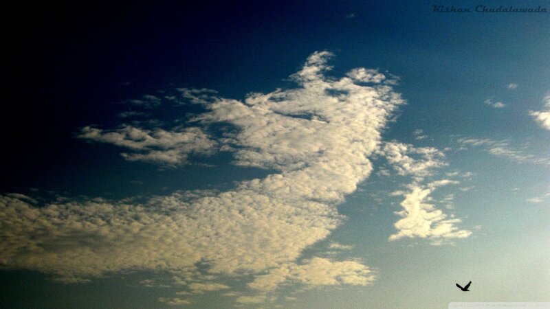 clouds and a flying bird