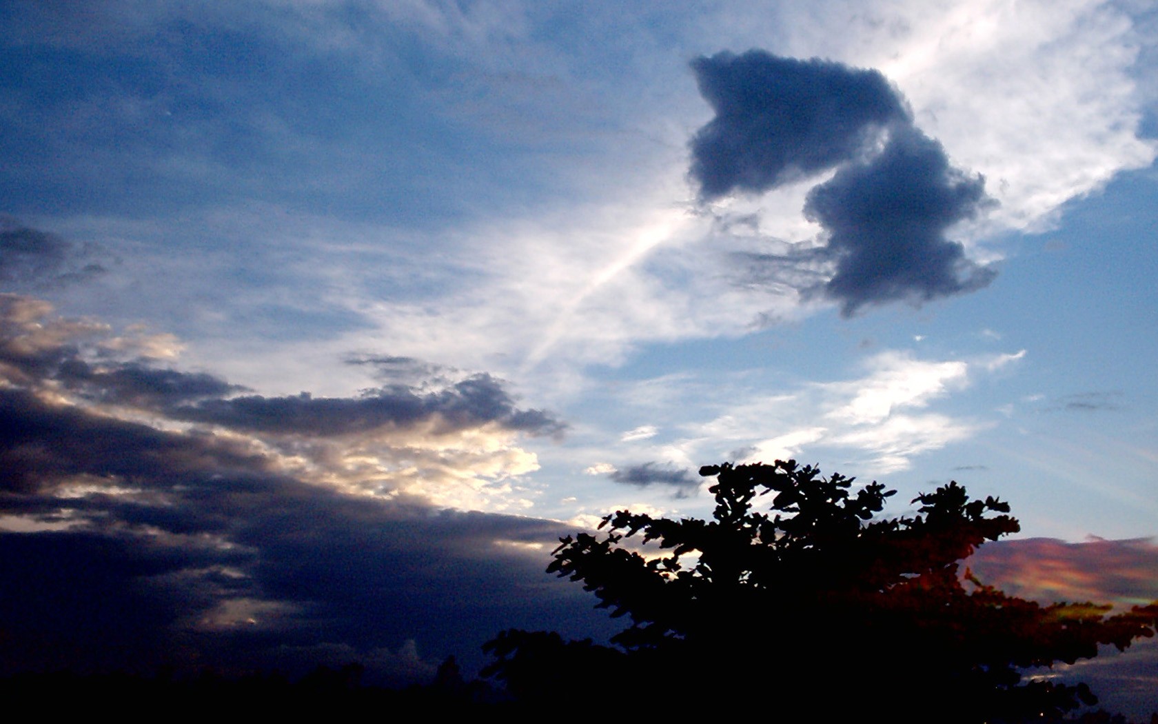clouds at dusk with tree silhouette
