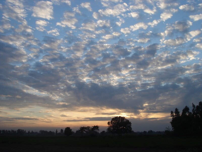 Clouds at sunrise over a field