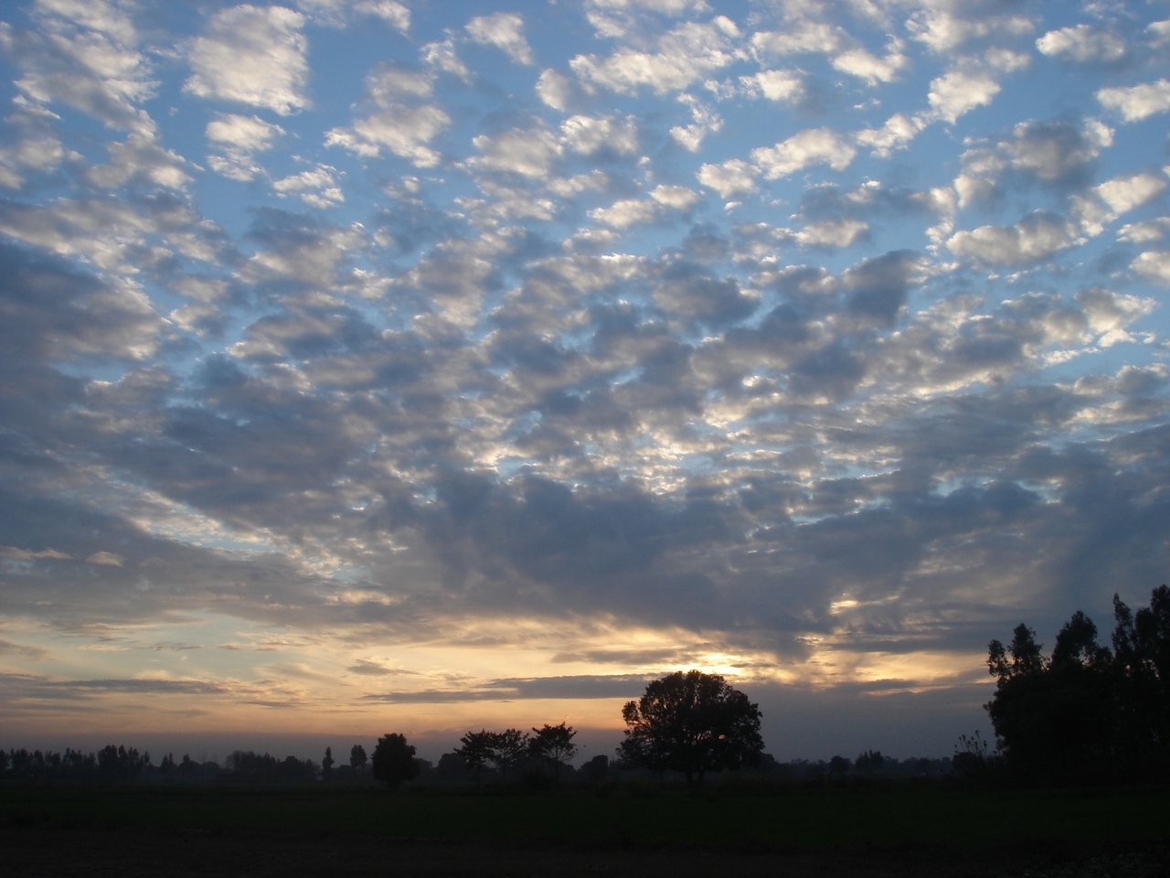 Clouds at sunrise over a field