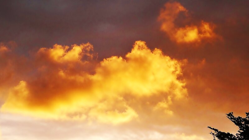 Clouds at Sunset — Orange, Dramatic, Photograph, Sky, Tree, Yellow