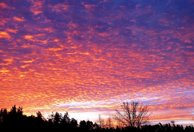 Clouds at Sunset — Orange, Dramatic, Photograph, Trees, Sky, Silhouette