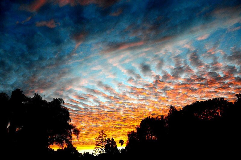 Clouds at Sunset — Orange, Dramatic, Photograph, Trees