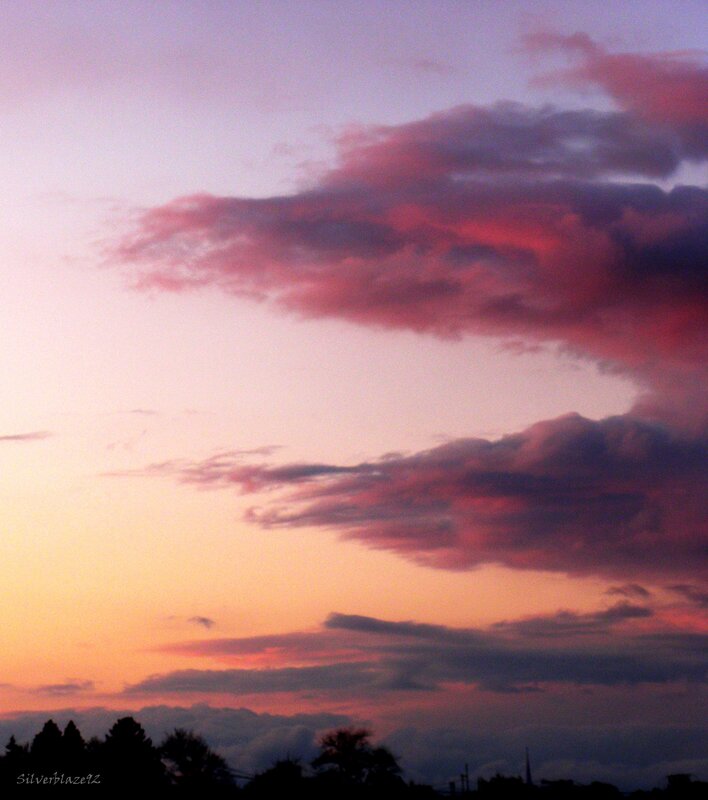 Clouds at Sunset — Pink, Dramatic, Photograph, Sky, Trees
