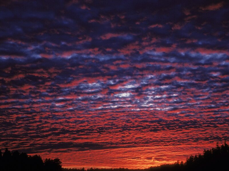 Clouds at Sunset — Red, Dramatic, Photograph, Sky, Trees, Horizon