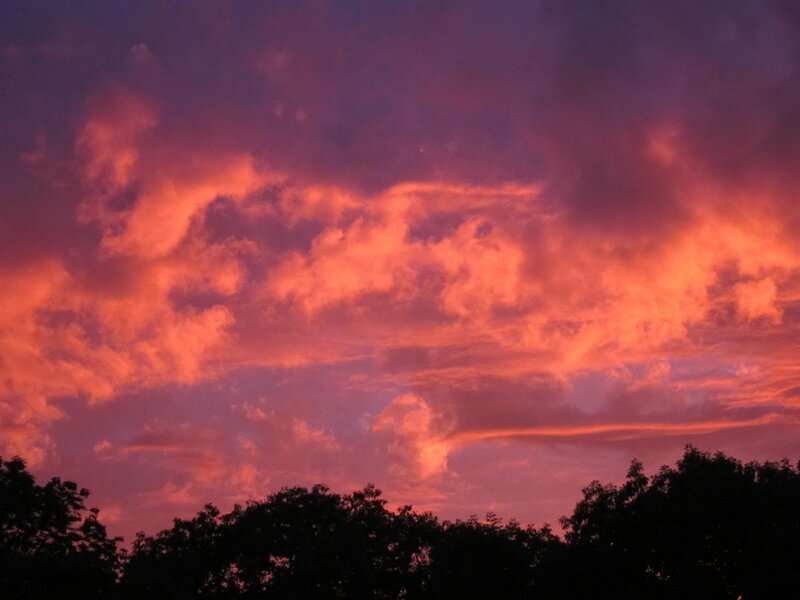 Clouds at Sunset — Red, Dramatic, Photograph, Sky, Trees, Purple