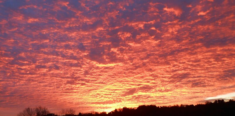 Clouds at Sunset — Red, Dramatic, Photograph, Sky, Trees
