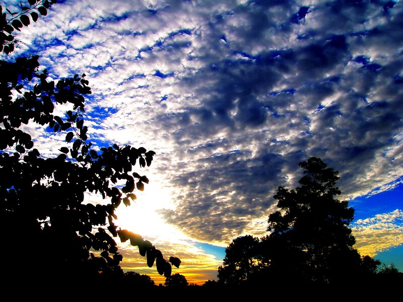 Clouds at sunset with tree silhouettes