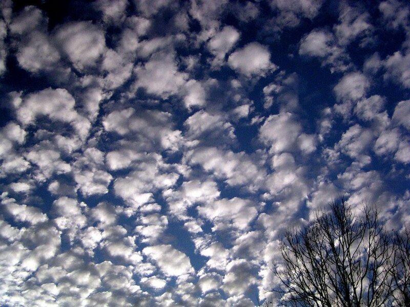 Clouds in a blue sky