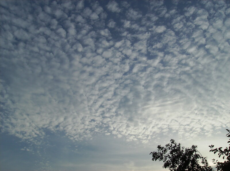 Clouds in Blue Sky — Calm, Afternoon, Photograph