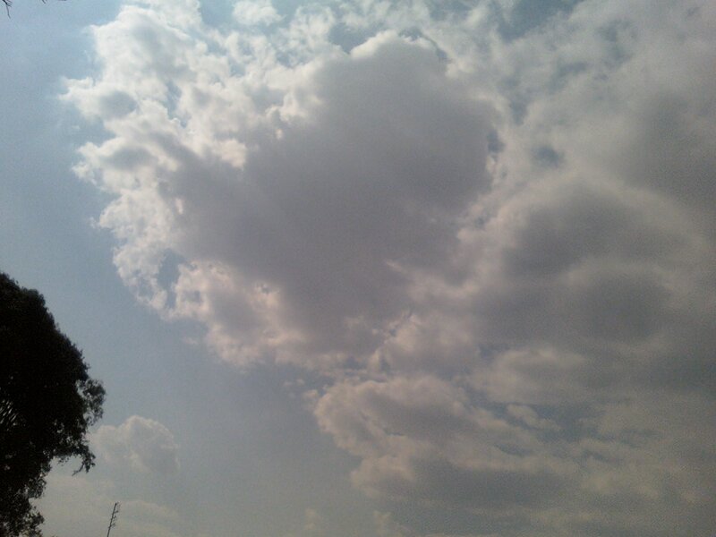 Clouds in Blue Sky — Calm, Afternoon, Photograph, Tree