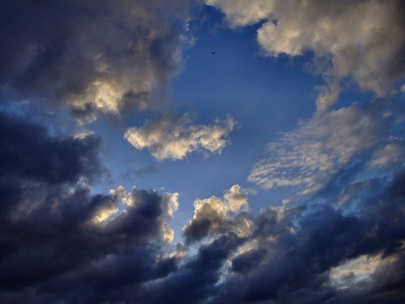 Clouds in Blue Sky — Dramatic, Sunset, Photograph, Bird