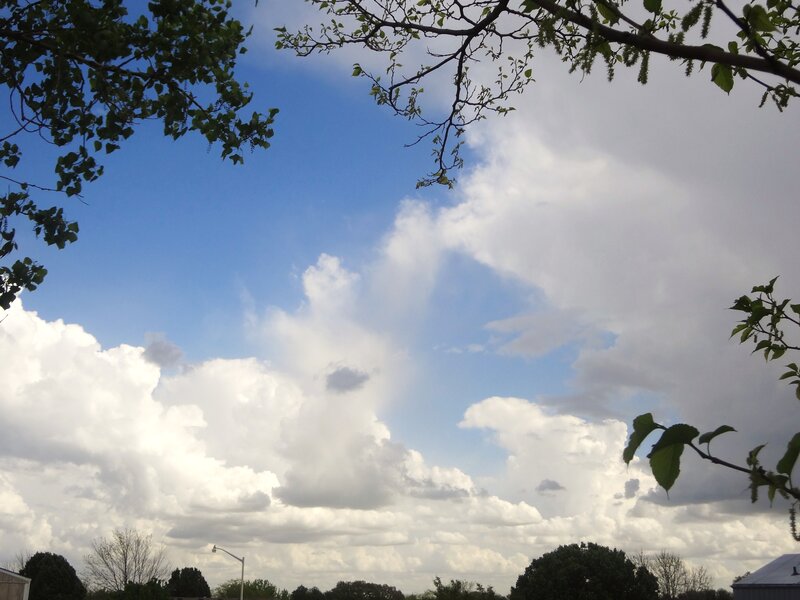 Clouds in Blue Sky — Serene, Afternoon, Photograph, Trees