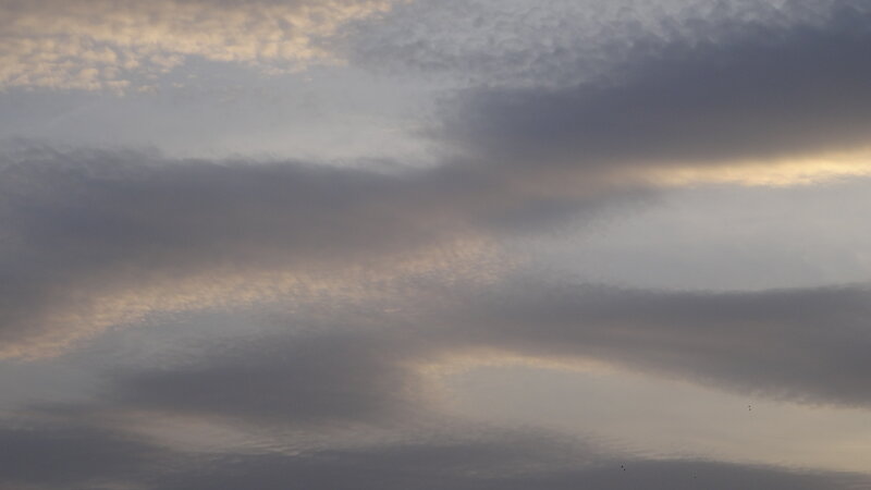 Clouds in Evening Sky — Gray