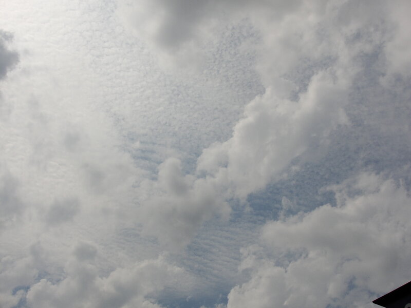 Clouds in the Sky — White, Calm