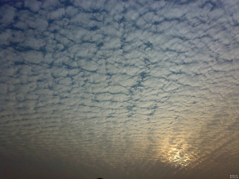 Clouds in the Sky — White, Serene, Sunset, Photograph