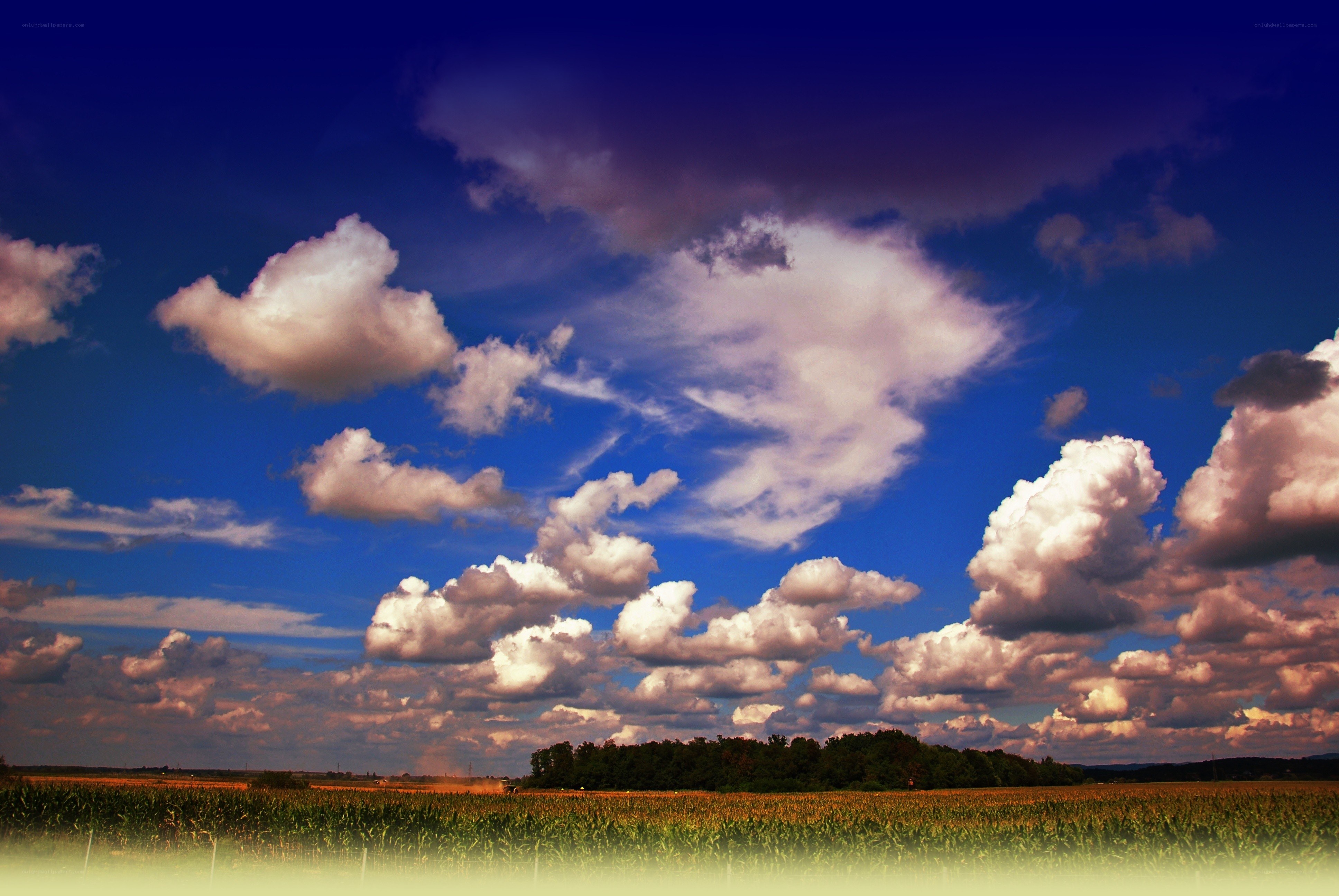 Clouds over a Cornfield