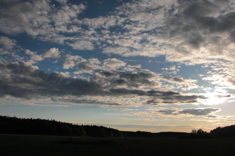 Clouds over a forest at sunset