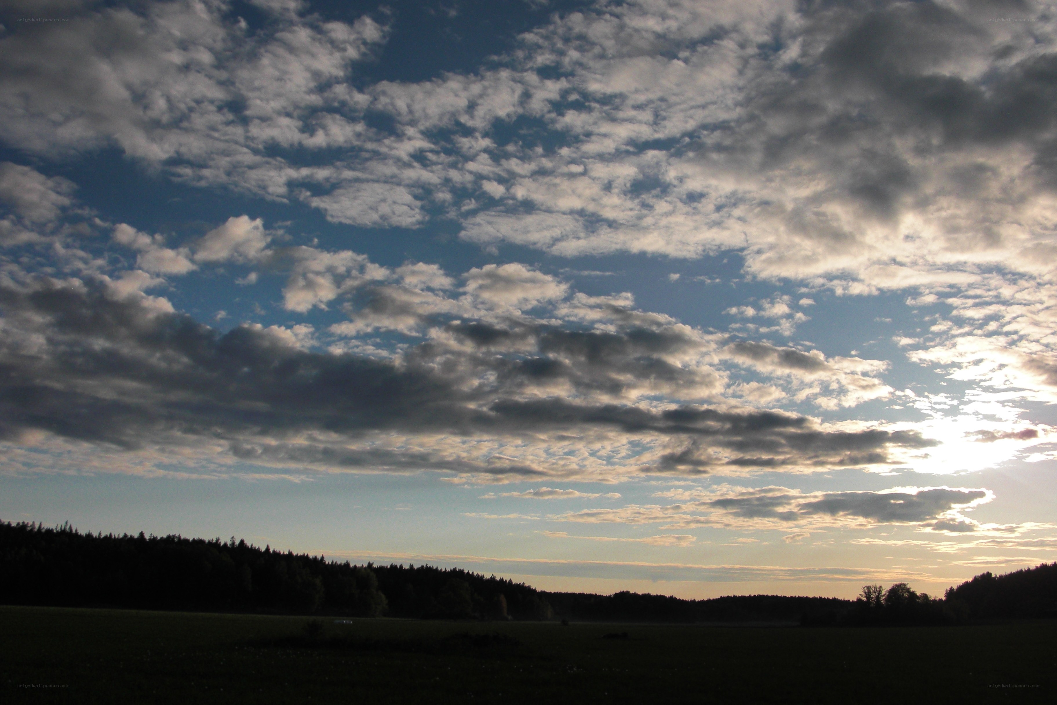 Clouds over a forest at sunset
