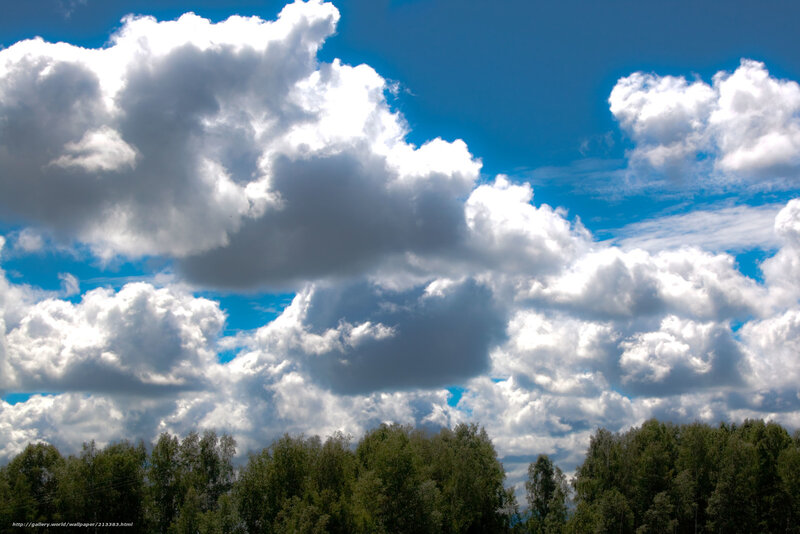 Clouds over a forest