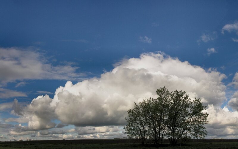 clouds over a lone tree
