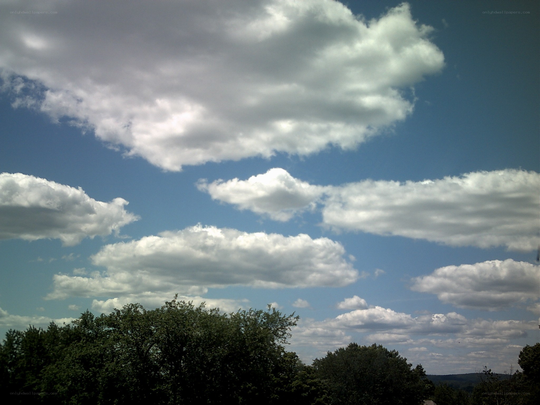 clouds over a tree line