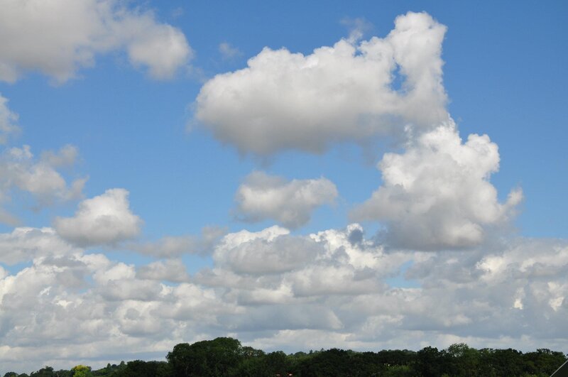 clouds over a tree line