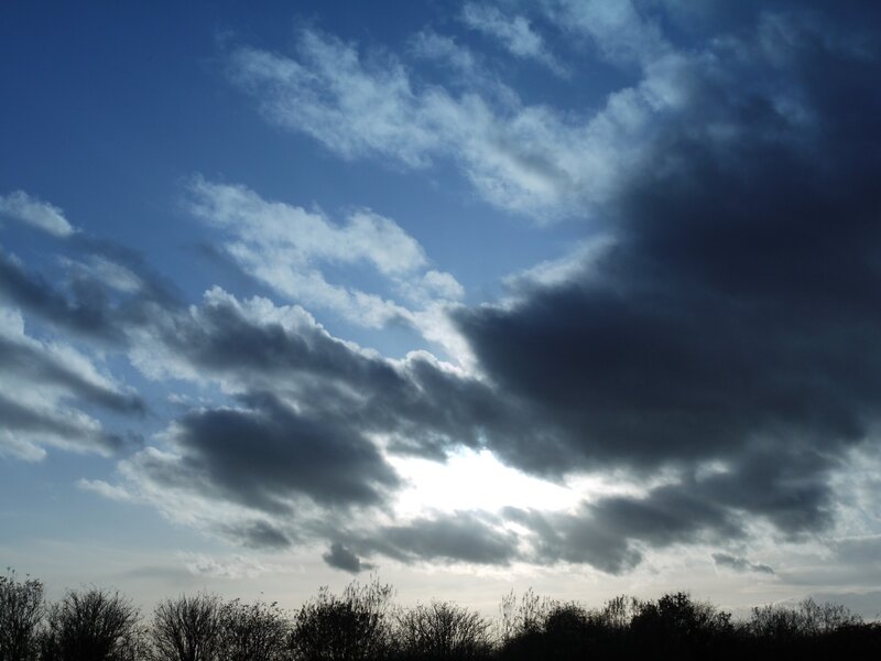 clouds over a treeline
