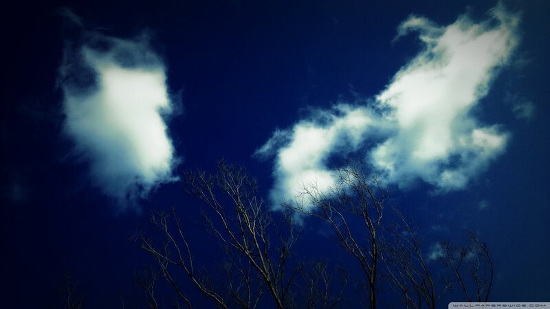 Clouds over Bare Trees — Blue, Dramatic, Night