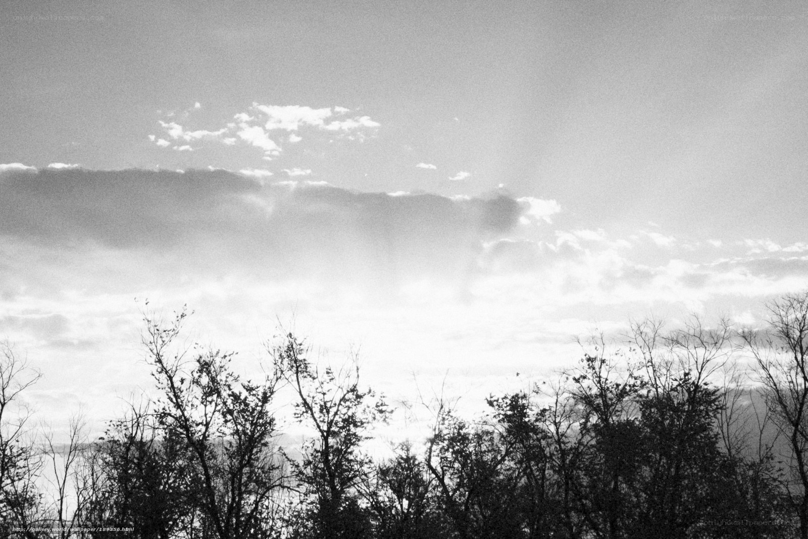 Clouds over bare trees