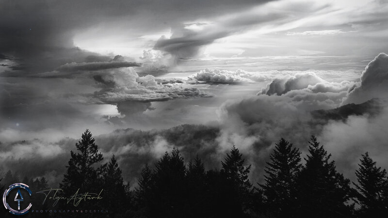 Clouds over Forest — Black