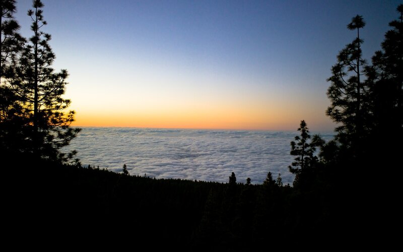 Clouds over Forest — Blue, Serene, Sunrise, Photograph
