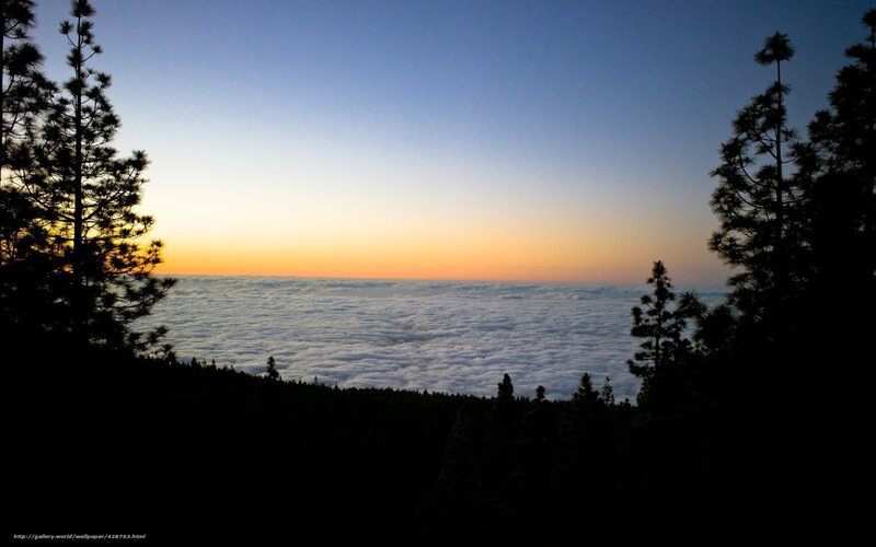 Clouds over Forest — Blue, Serene, Sunrise