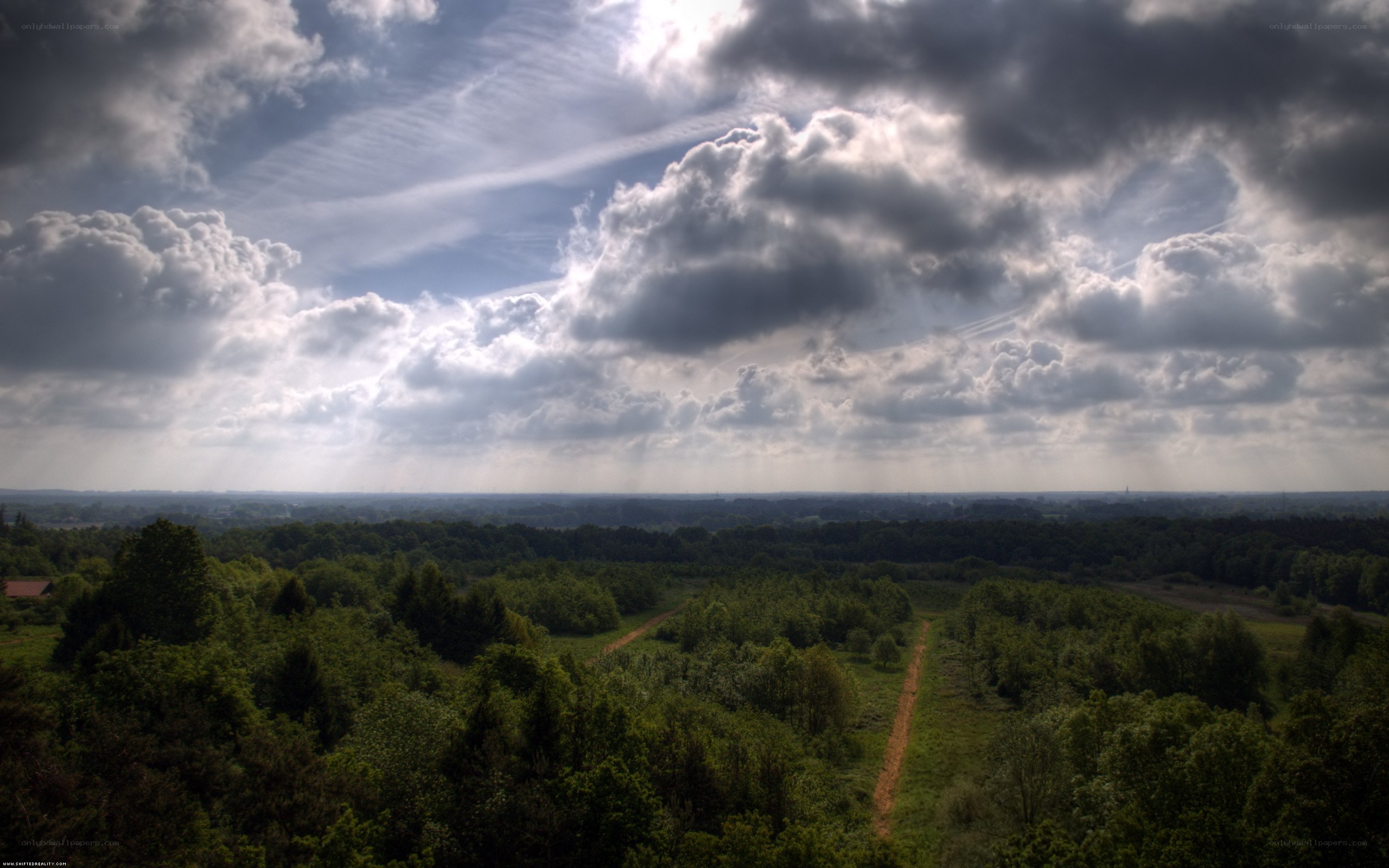 Clouds over forest landscape