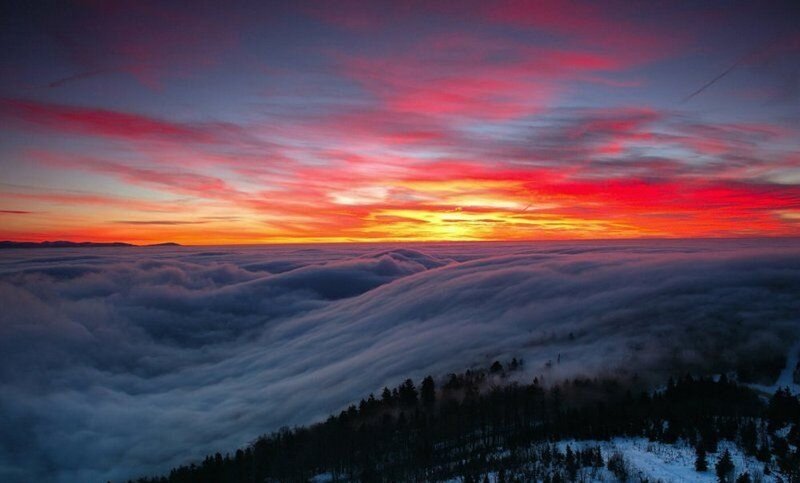 Clouds over Forest — Red