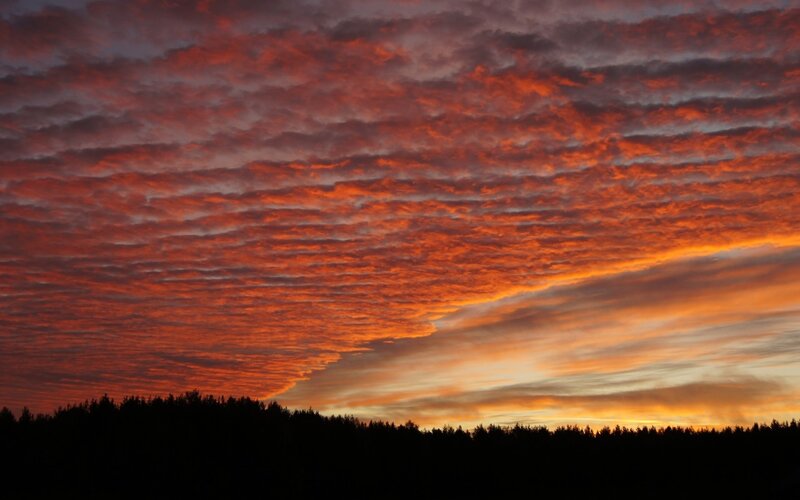 Clouds over Forest Silhouette — Orange