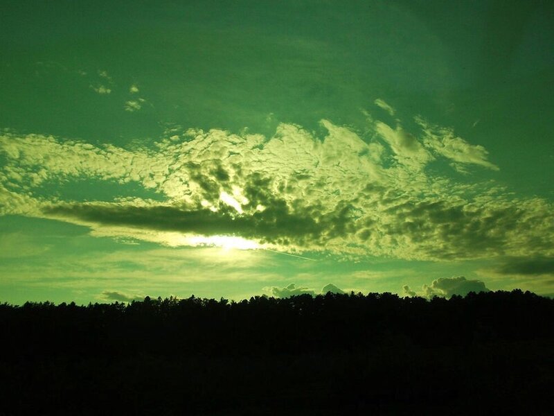 Clouds over Forest Silhouette
