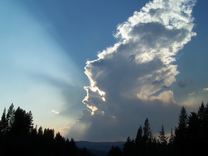 Clouds over Forest