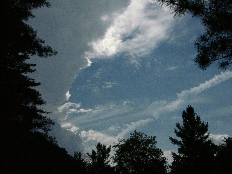 Clouds over forest trees