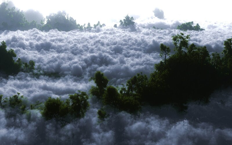 Clouds over Forest — White