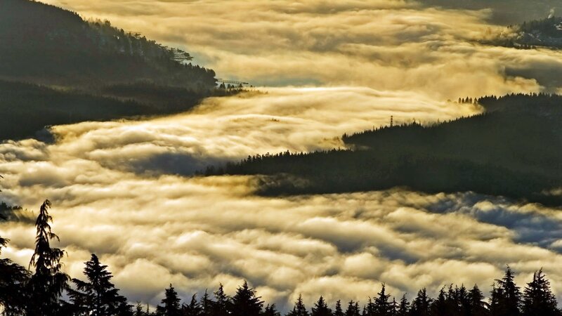 Clouds over forested mountains