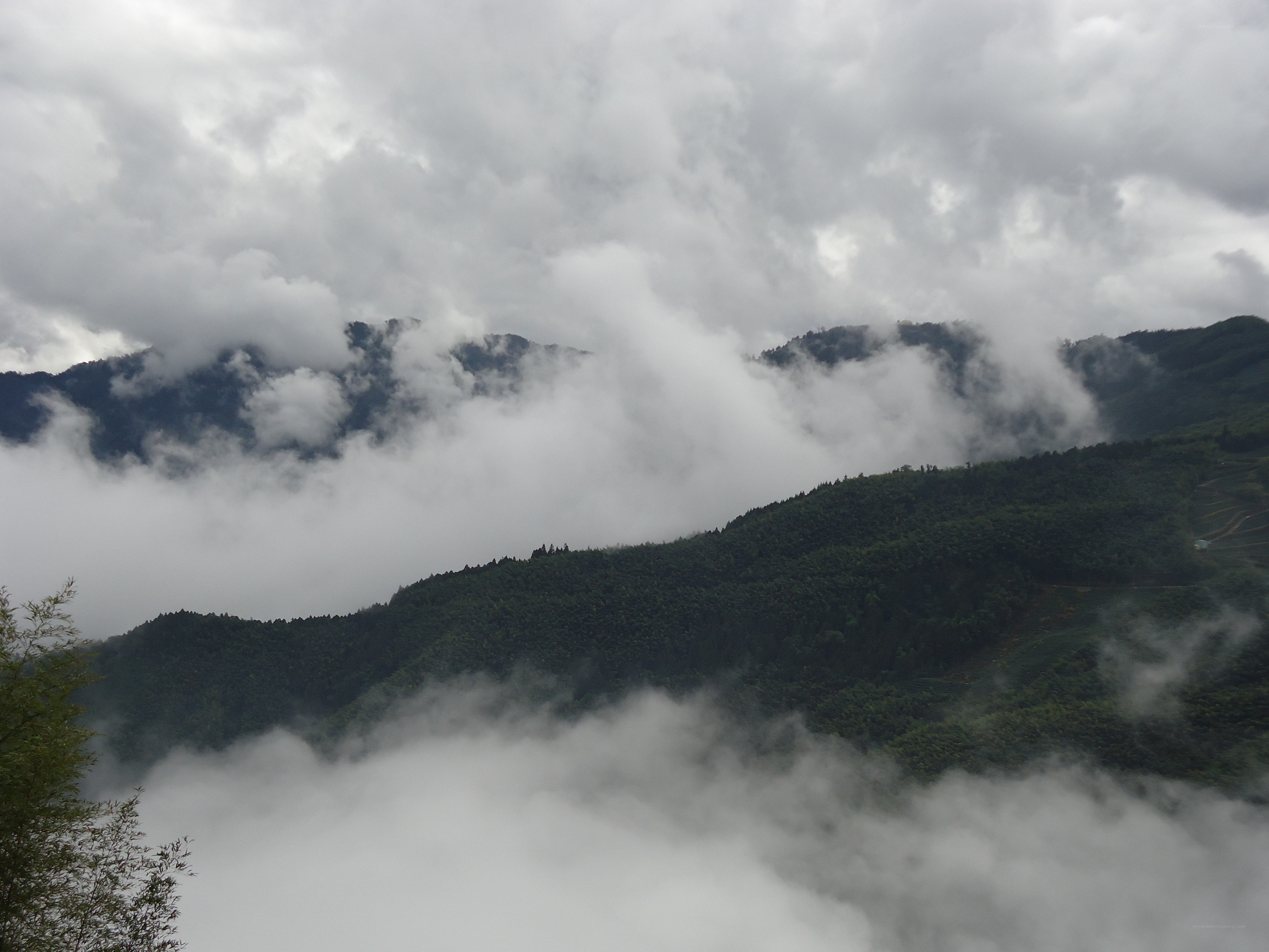Clouds over forested mountains