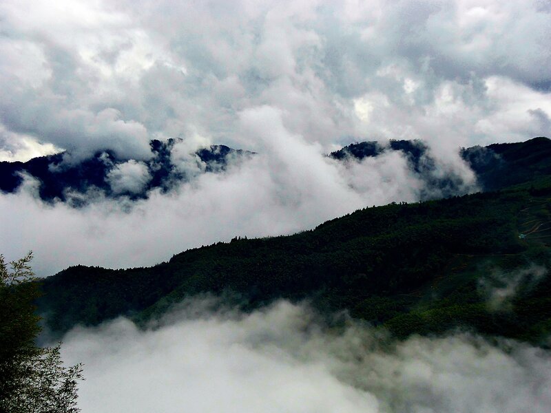 Clouds over forested mountains