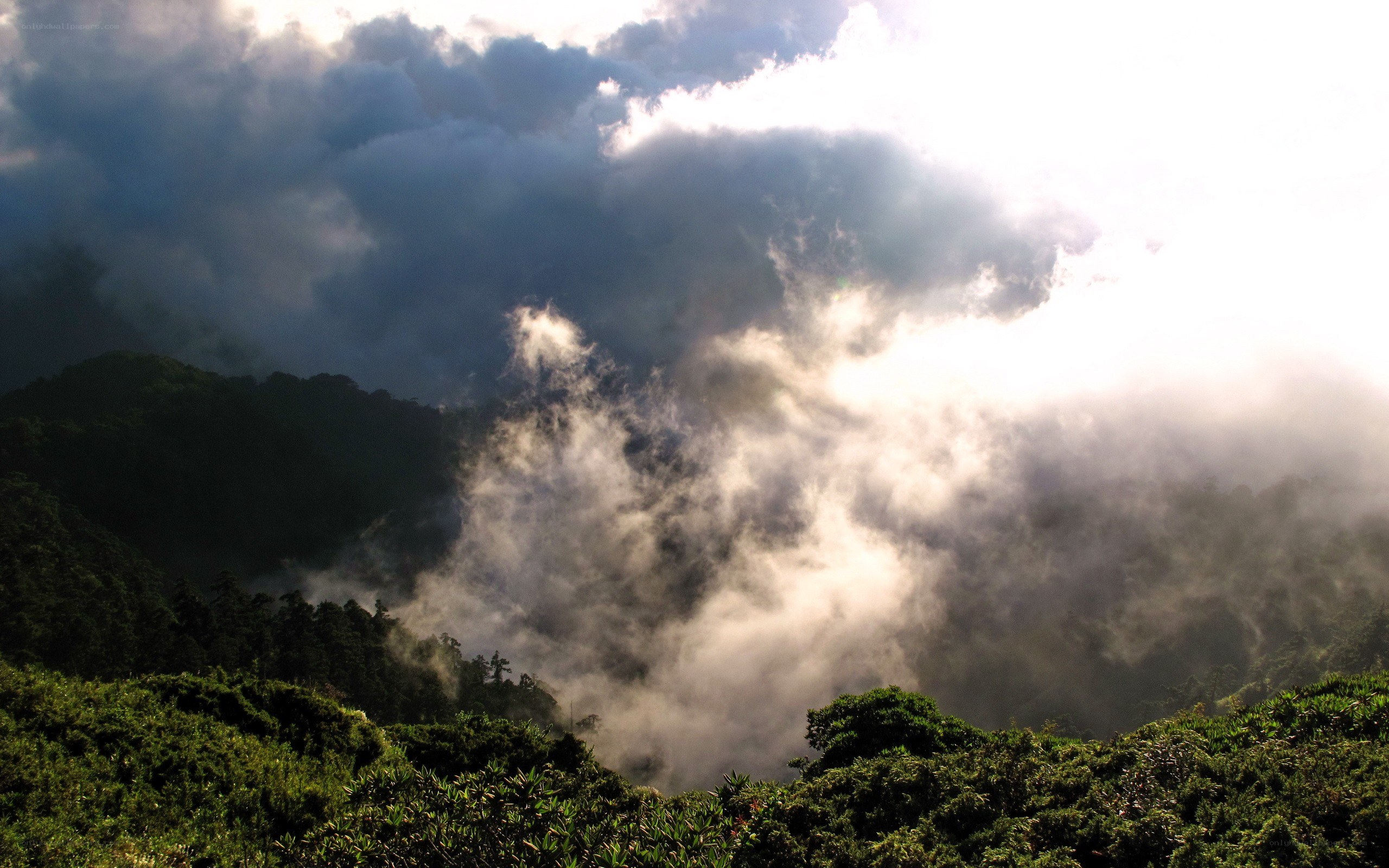 Clouds over forested mountains