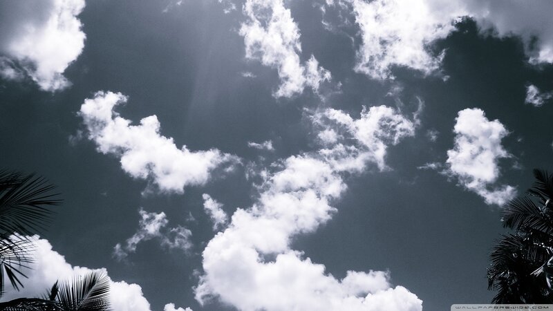 Clouds over palm trees