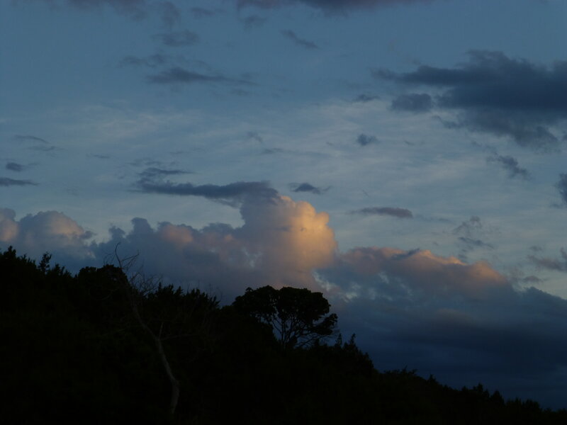 Clouds over Silhouetted Trees — Blue