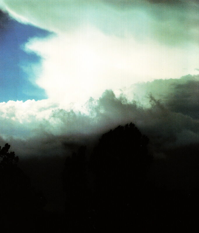 clouds over silhouetted trees