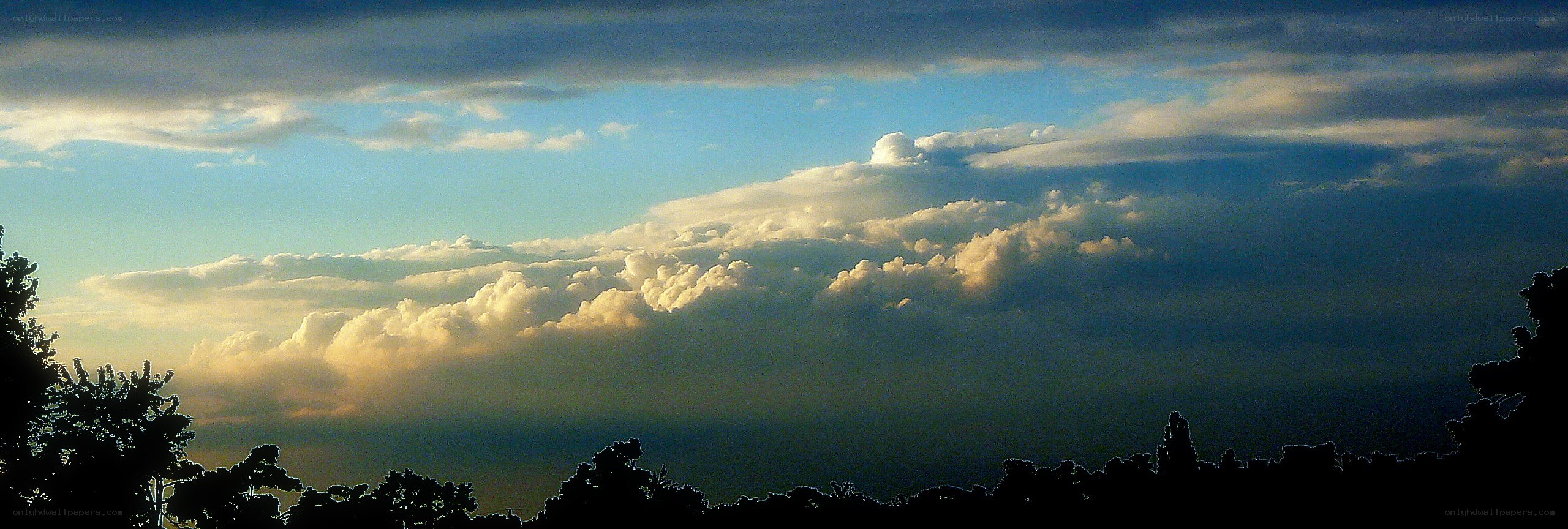 Clouds over the treetops