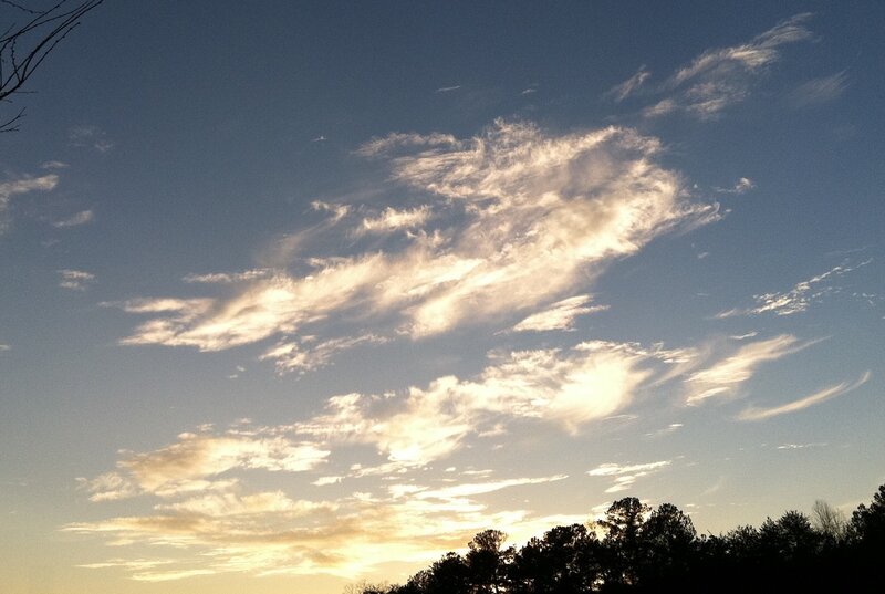 Clouds over Tree Line