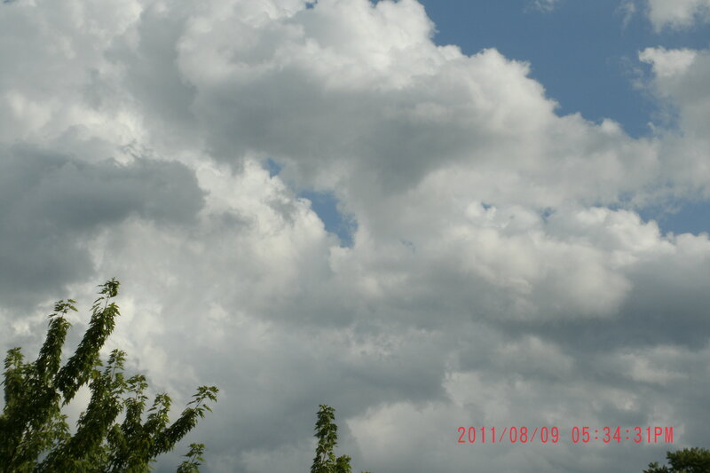 Clouds over Tree Tops — Blue